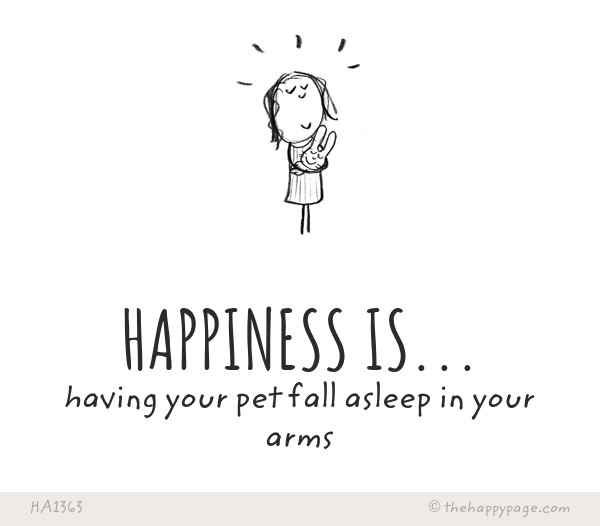 A small happy for your day - 23 July 2026